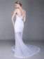 Trumpet/Mermaid Tulle Lace Wedding Dresses 00101020