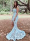 Lace Two Pieces Prom Dress Formal Evening Gowns 901203