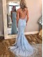 Mermaid Lace Long Prom Dresses Formal Evening Dresses 99501128