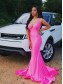Mermaid V-Neck Long Prom Dresses Formal Evening Gowns 995011476 Mermaid V-Neck Long Prom Dresses Formal Evening Gowns 995011476