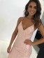 Backless V-Neck Lace Long Prom Dresses Formal Evening Dresses 99501267