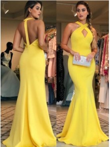 Mermaid Long Prom Dress Formal Evening Dresses 99501542