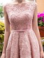 Pink Lace Prom Homecoming Cocktail Graduation Dresses 996021524