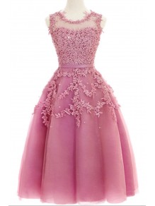 A-Line Illusion Neckline Lace Short Prom Dresses Party Evening Gowns 99602286 A-Line Illusion Neckline Lace Short Prom Dresses Party Evening Gowns 99602286