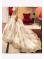 Gold Lace Appliques Long Sleeves Prom Dresses Party Evening Gowns 99602478