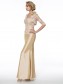 Mermaid Lace Mother of The Bride Dresses with A 3/4 Length Sleeves Jacket 99605010 Mermaid Lace Mother of The Bride Dresses with A 3/4 Length Sleeves Jacket 99605010