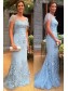 Elegant Mermaid Long Lace Mother of The Bride Dresses 99605115